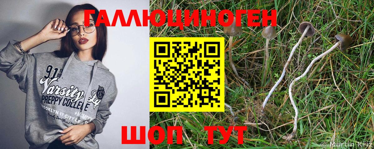 Советский  Галлюциногенные грибы Psilocybe  цены наркотик  Вход с VPN 